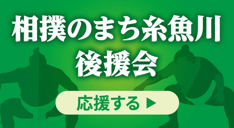 寄付ページ（ふるさとチョイスサイト内）